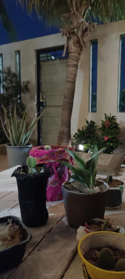 Cho Ku Rei Hostal San Jose del Cabo Exterior photo