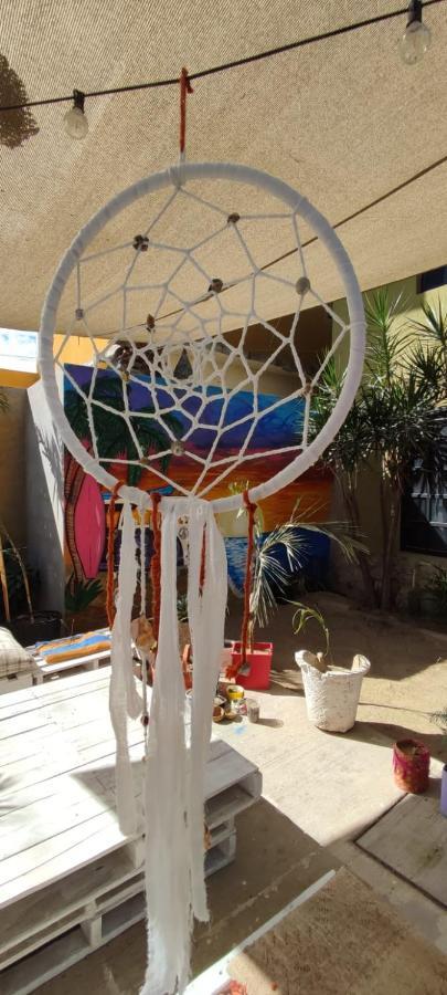 Cho Ku Rei Hostal San Jose del Cabo Exterior photo